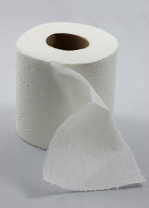 430px-Roll_of_toilet_paper_with_one_sheet_folded_down_in_front