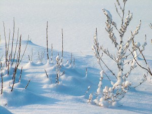 Time for snow golf?