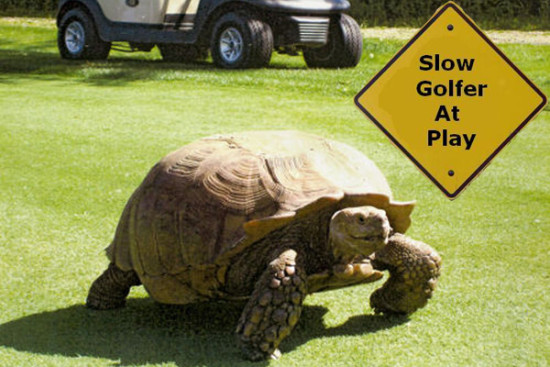 slow-play-golfer